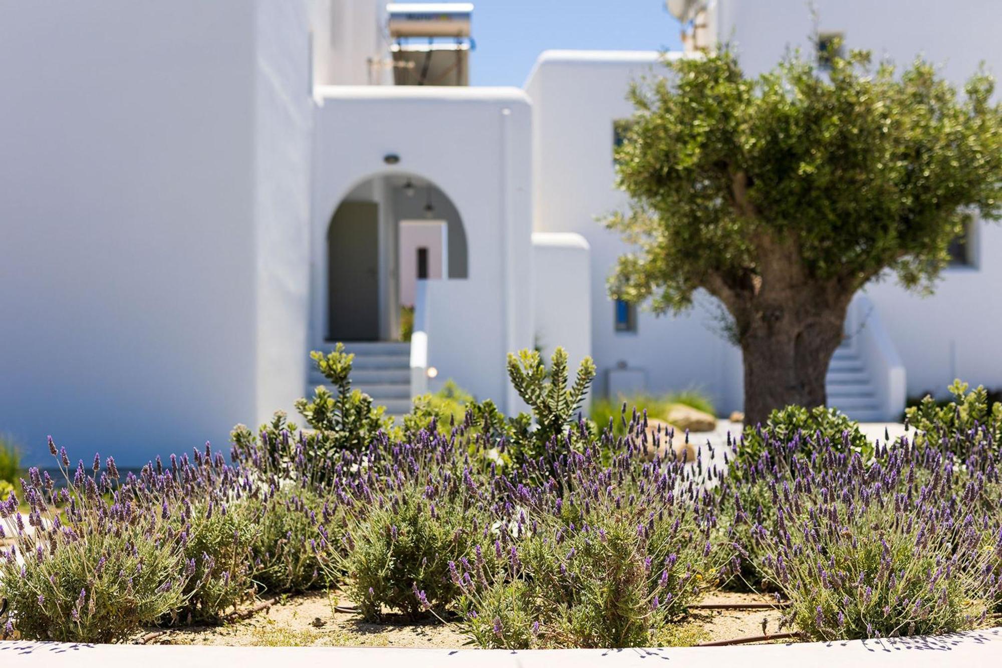 Plaka Villas Naxos - Villa Matina Villa Sofia Maragkas Luaran gambar